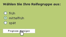 Basisversion - Schritt 3