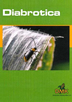 Diabrotica – Biologie-Schadpotential-Bek&auml;mpfung