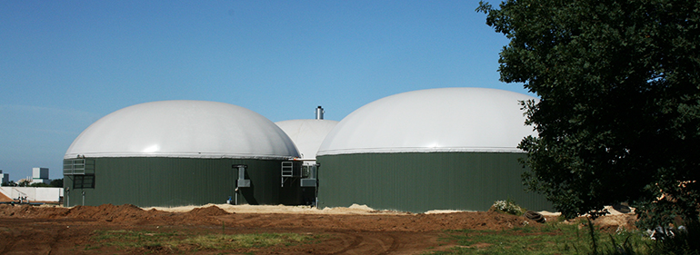 Biogas